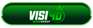 LOGO-VISI4D